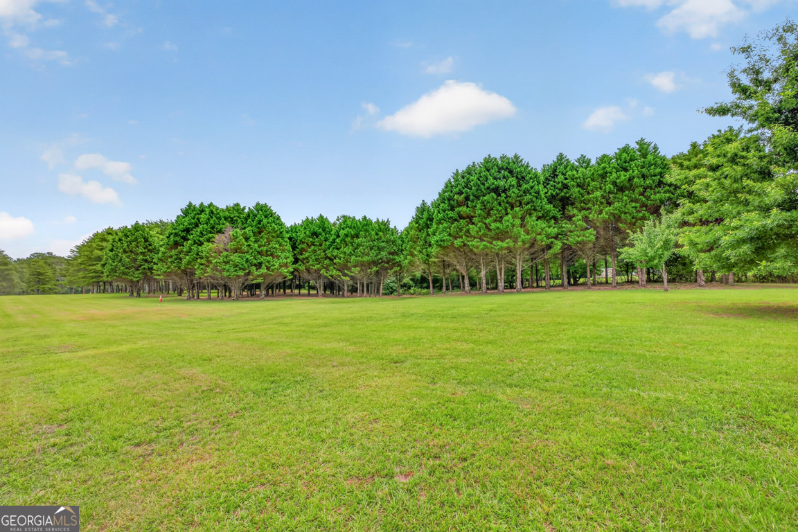 1740 Old Buckhead Road Madison, GA 30650 - Photo 104 of 130