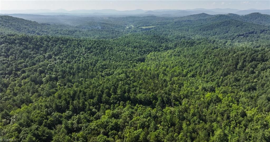 0 Boone Trail Purlear, NC 28665 - Photo 25 of 40 Gallery Image 25