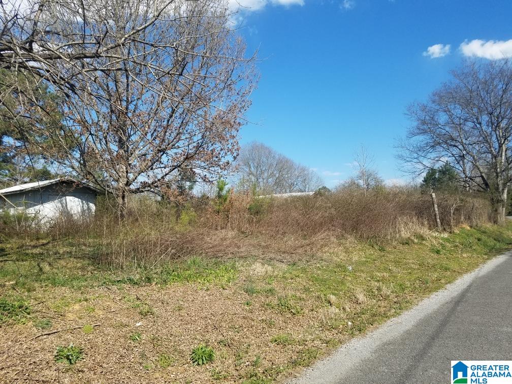 827 Low Water Bridge Road Cleveland, AL 35049 - Photo 7 of 10