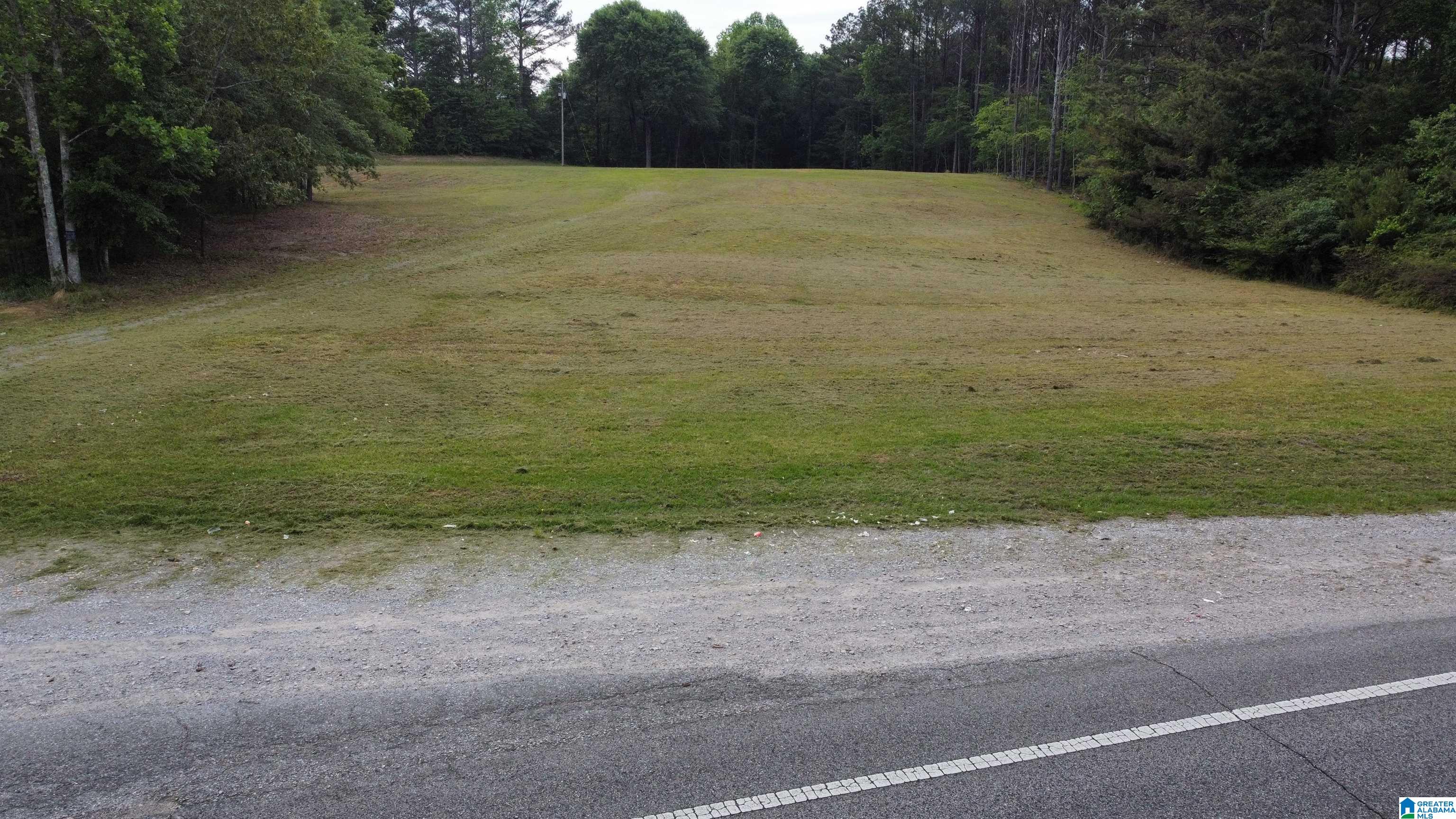 22909 Highway 195 Double Springs, AL 35553 - Photo 1 of 19