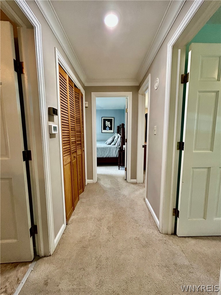 220 Treehaven Road Cheektowaga, NY 14215 - Photo 16 of 34 Gallery Image 16