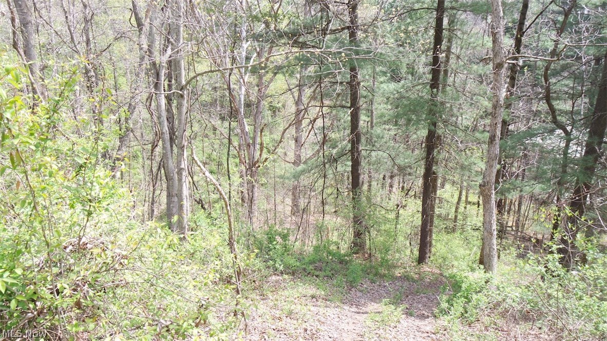 Mt Hope Ridge Road Graysville, OH 45734 - Photo 6 of 21 Gallery Image 6