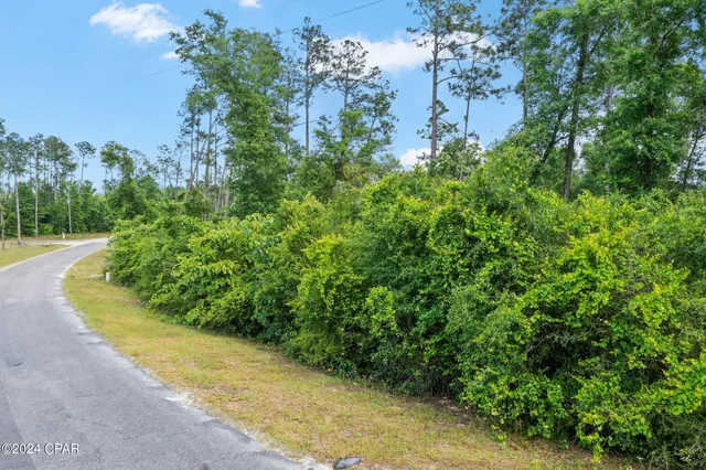 $69,000 | 0 Vancouver Drive, Alford, FL 32420