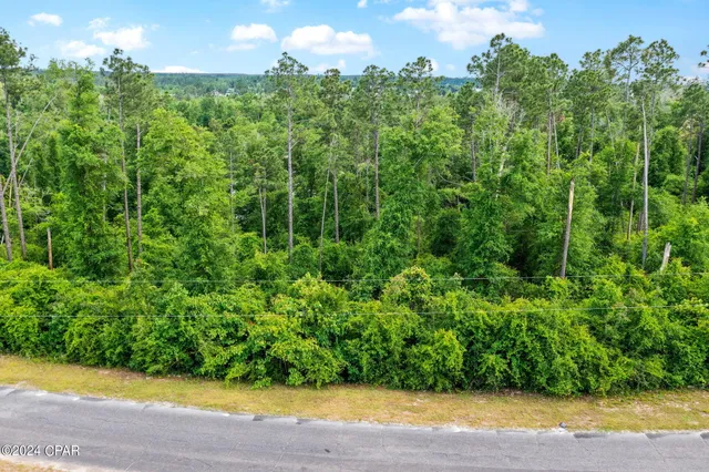 $69,000 | 0 Vancouver Drive, Alford, FL 32420