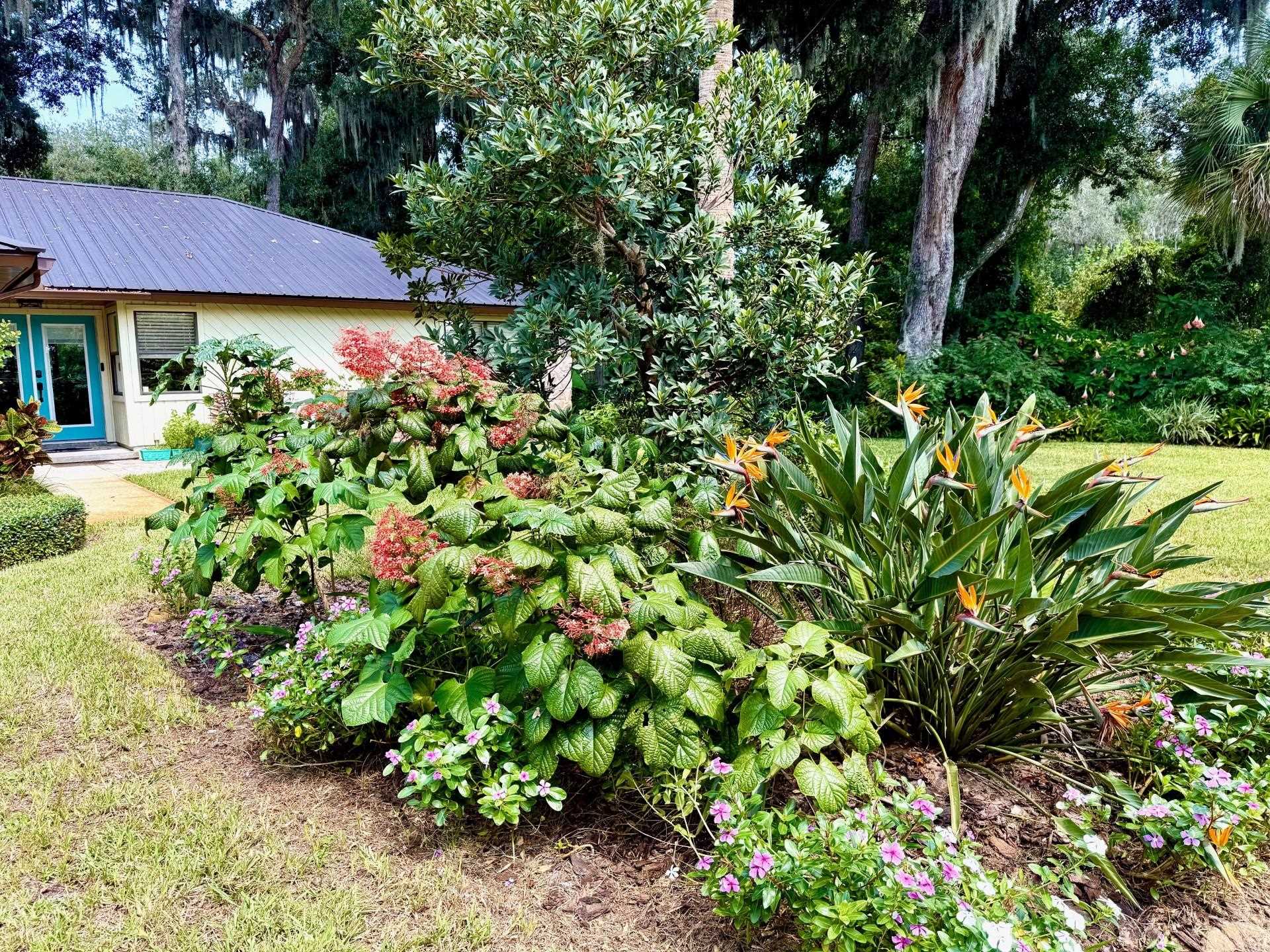 117 Seminole Road St. Augustine, FL 32086 - Photo 4 of 47 a view of a house with a flower garden