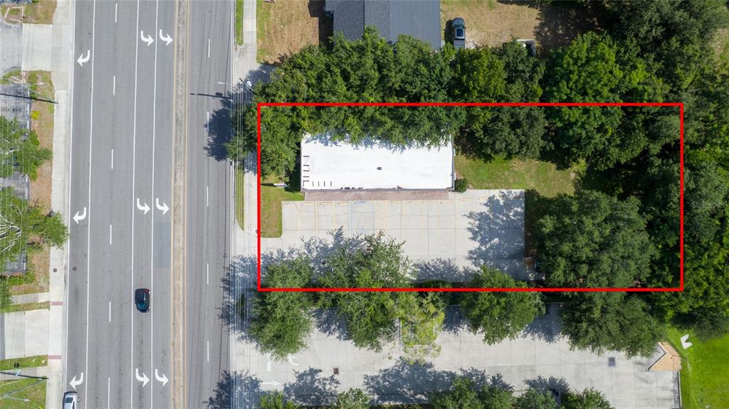 1813 North Dean Road Orlando, FL 32817 - Photo 6 of 35 a view of a flower arrangement in backyard of a house