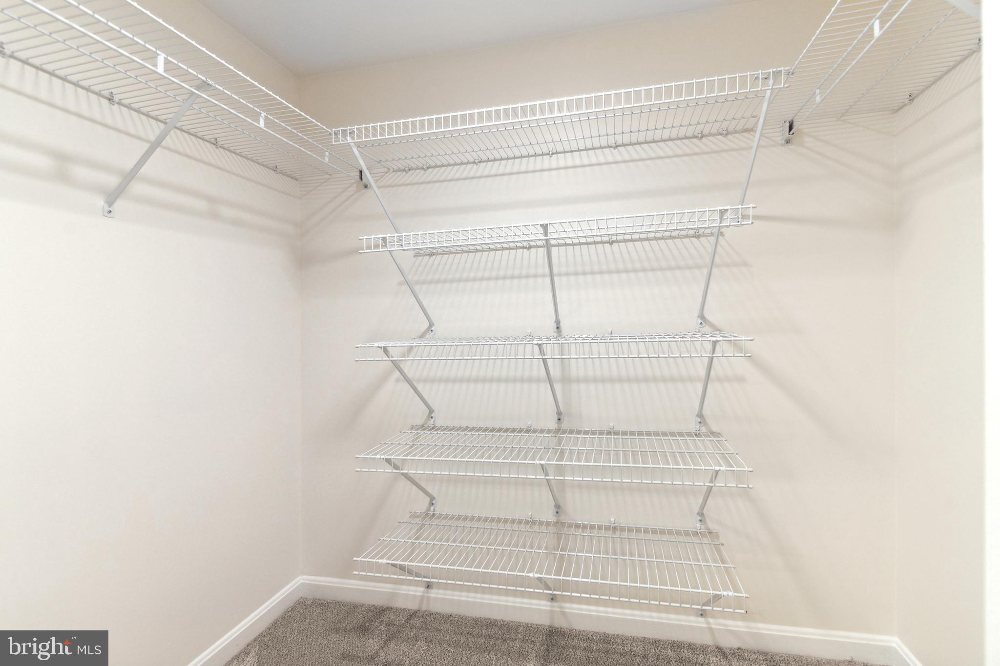 14809 Pennfield Circle, Unit 304 Silver Spring, MD 20906 - Photo 24 of 29 Walk in closet