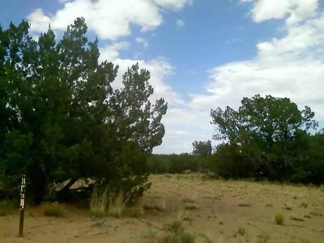 Lot 87 Red Sky Ranch St. Johns, AZ 85936 - Photo 2 of 5