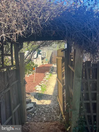 a view of yard