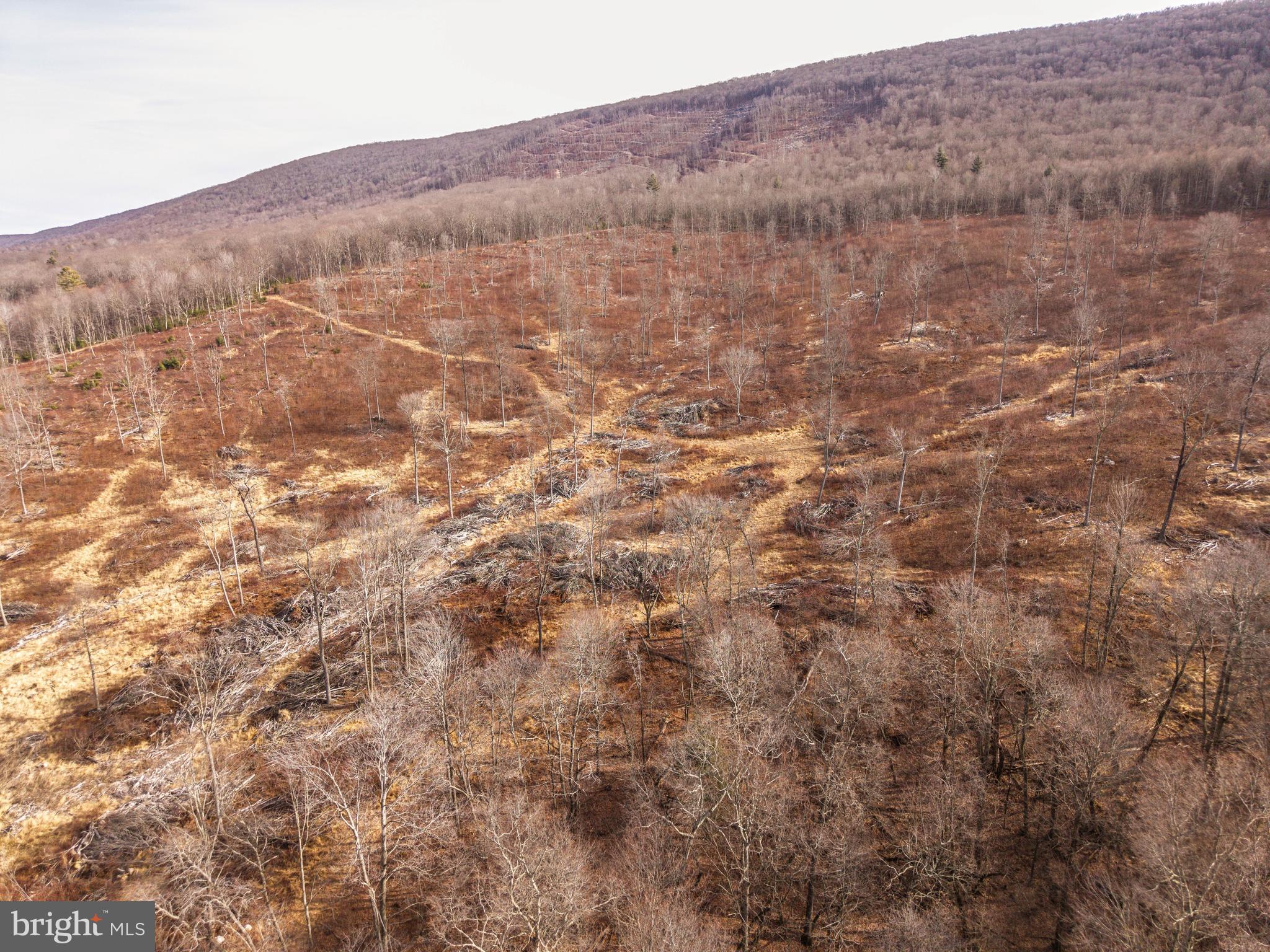 0 Spring Valley Road Gap Mills, WV 24941 - Photo 33 of 37 a view of a dry grass field