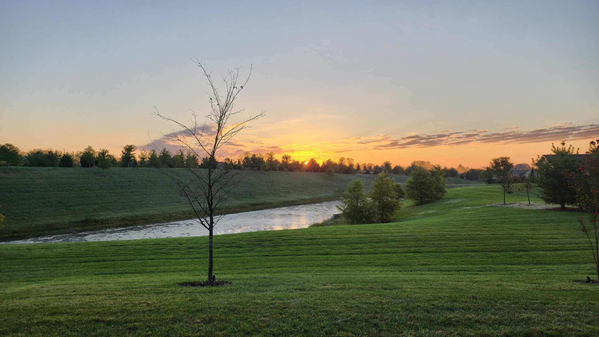 1331 Madison Lane Spring Hill, TN 37174 - Photo 2 of 61