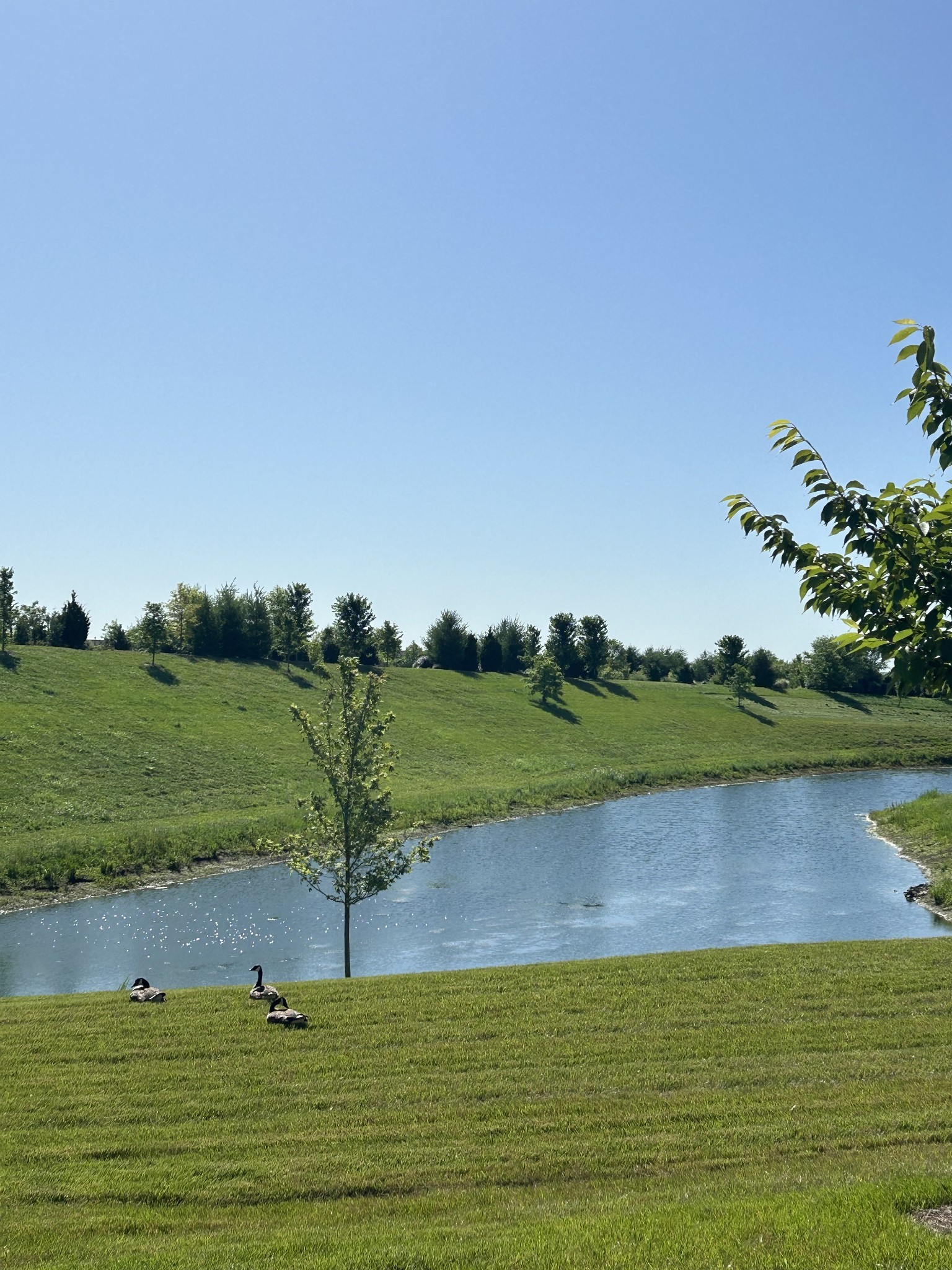 1331 Madison Lane Spring Hill, TN 37174 - Photo 4 of 61