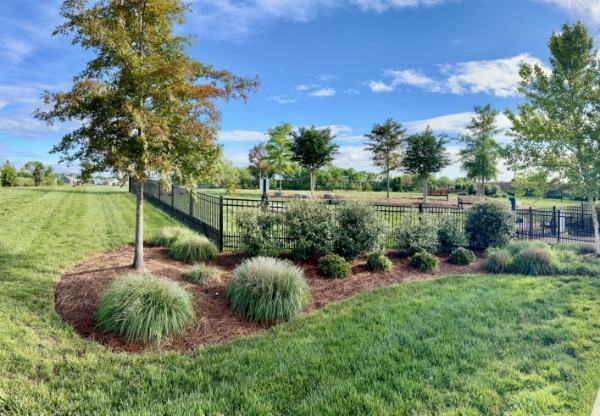1331 Madison Lane Spring Hill, TN 37174 - Photo 61 of 61 a view of a garden