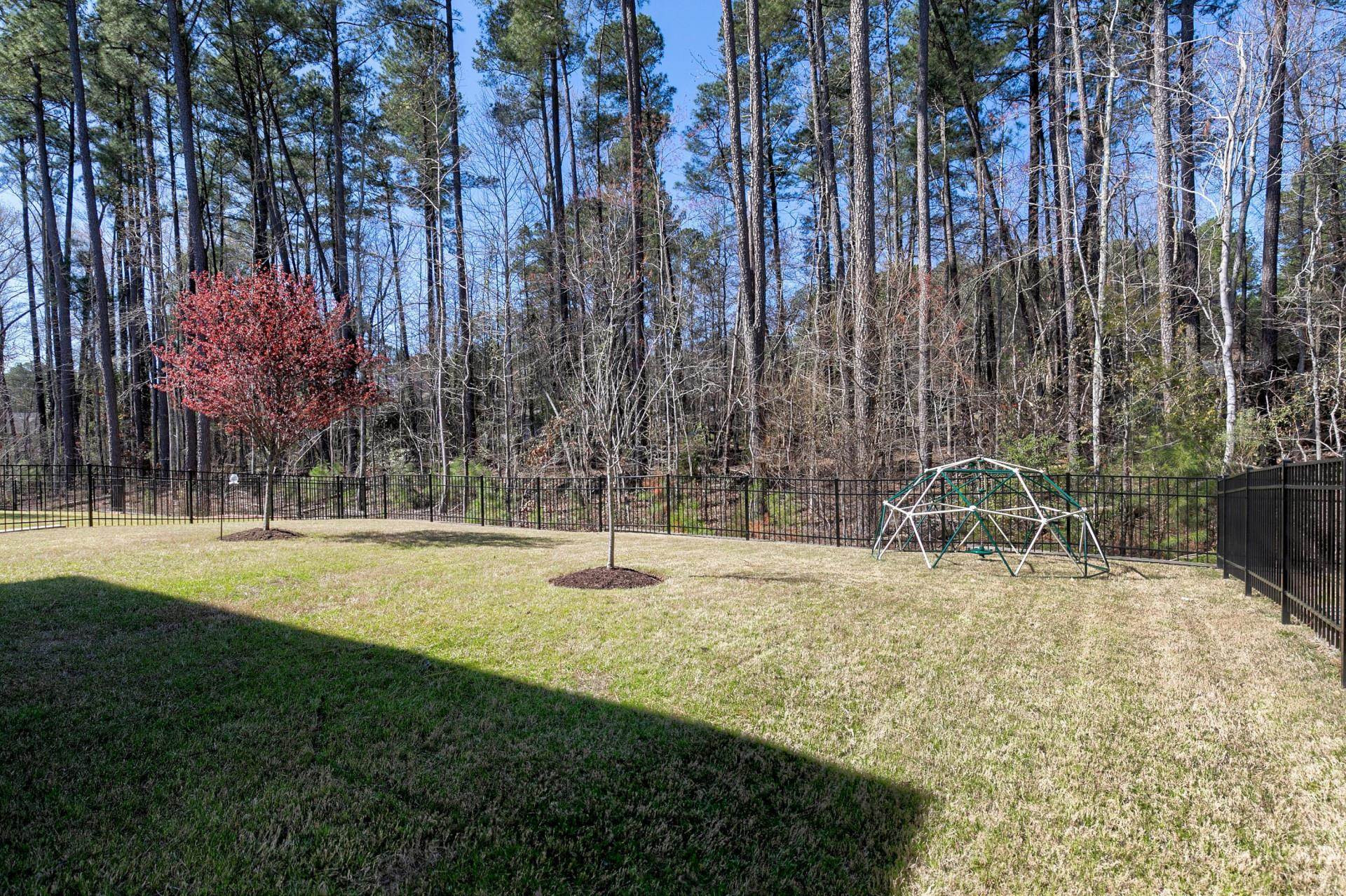 1016 Capstone Drive Durham, NC 27713 - Photo 43 of 50 a view of a park with swings