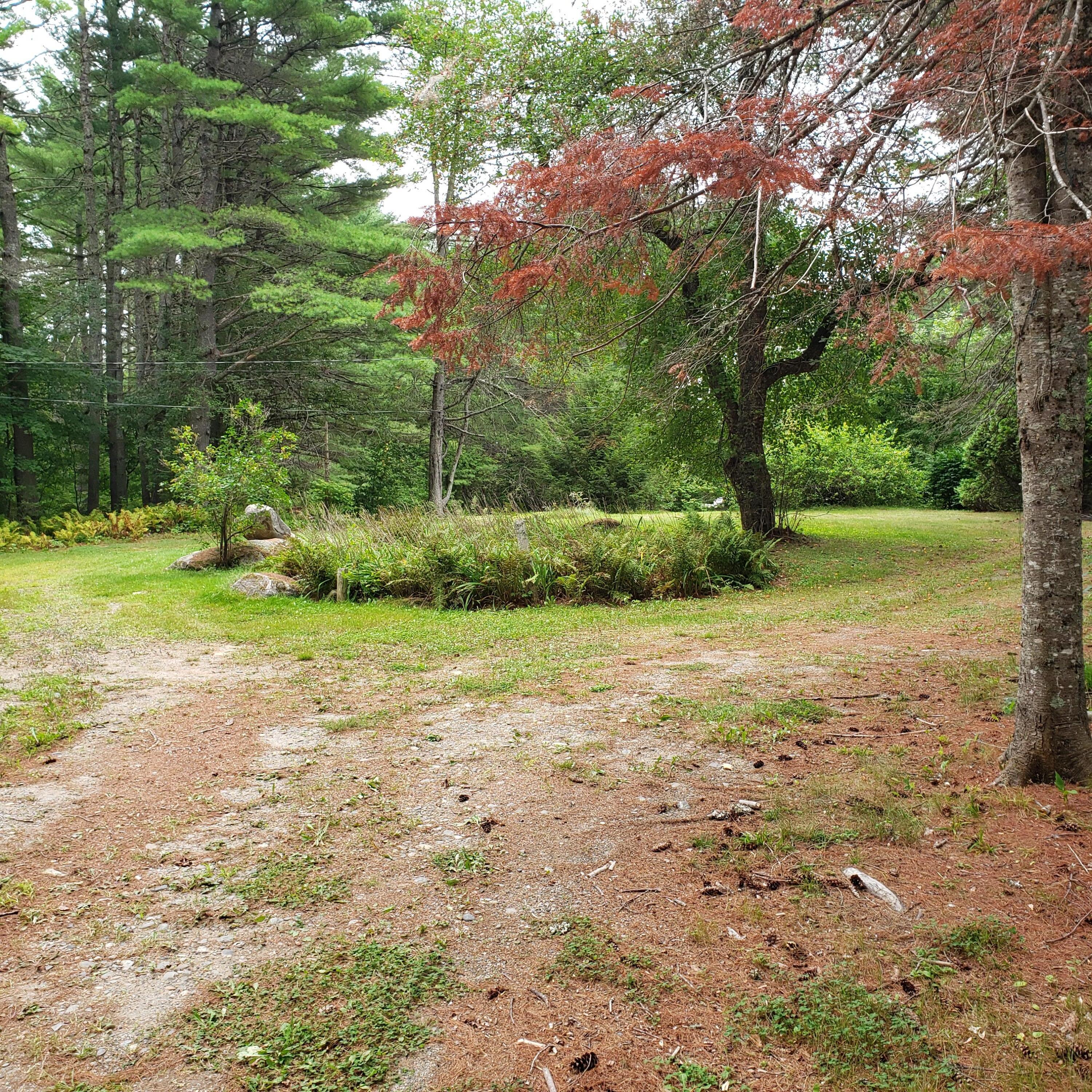 1020 Lee Road Lincoln, ME 04457 - Photo 9 of 24 1020 Lee Road (44)