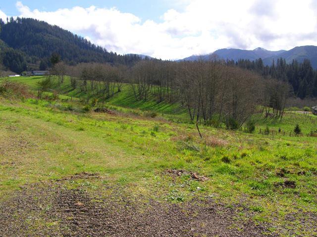 Lot 25 Skyview Road Tillamook, OR 97141 - Photo 10 of 21 P3180342.JPG