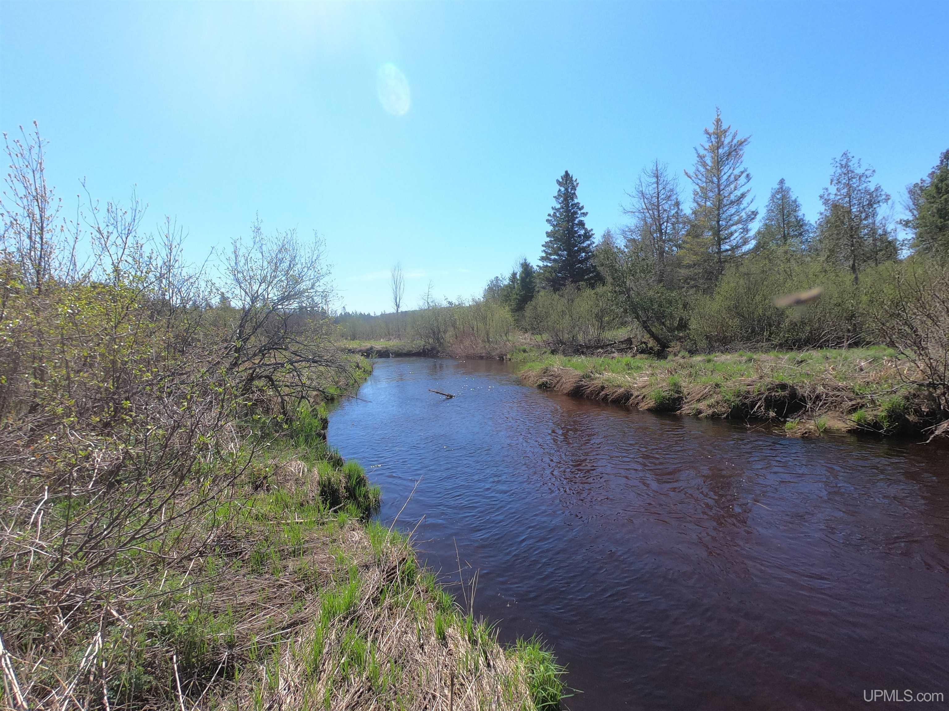 Tbd Tbd Sg Road Felch, MI 49831 - Photo 8 of 11