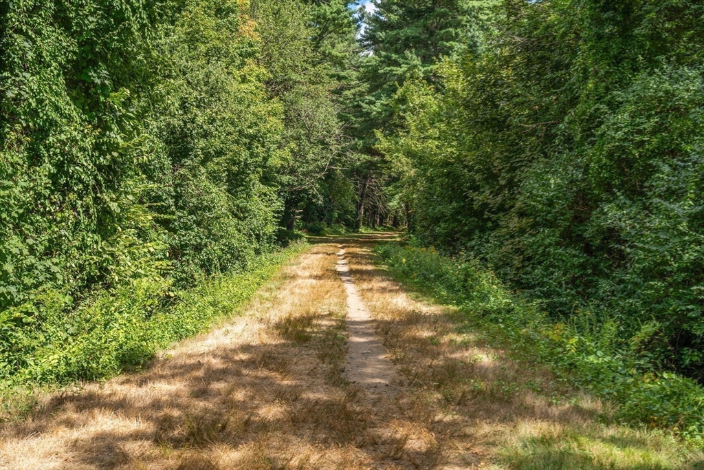 78 Hunnewell Street Wellesley, MA 02481 - Photo 41 of 42