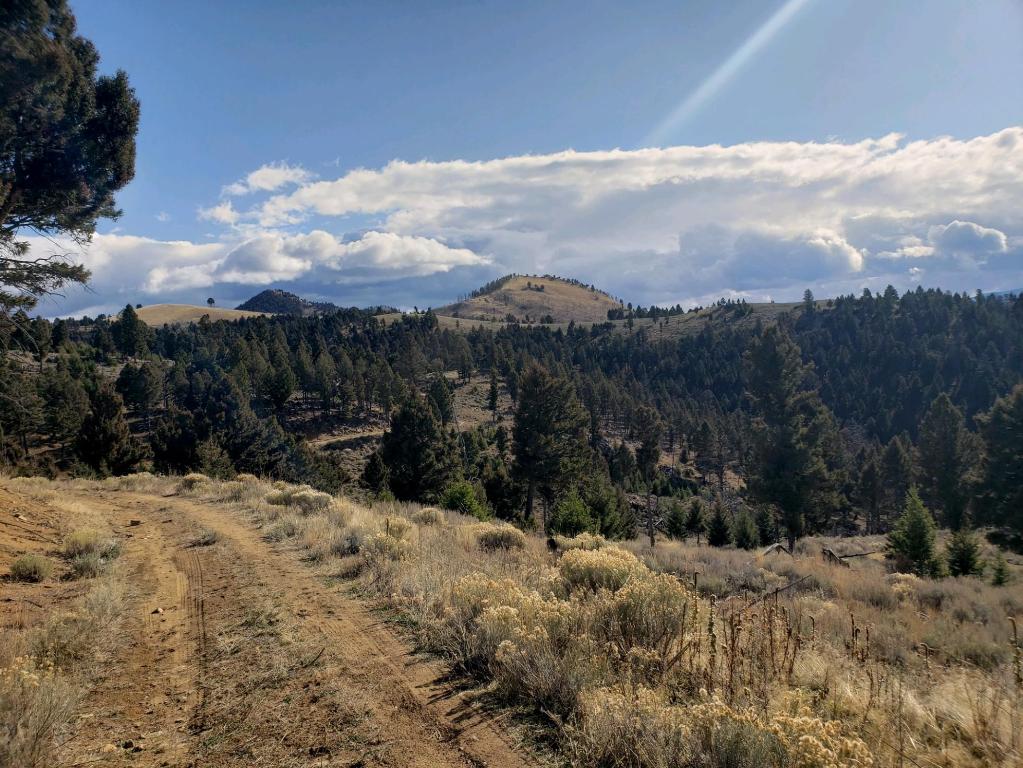 0 High Ore Road Boulder, MT 59632 - Photo 1 of 1 Gallery Image 1