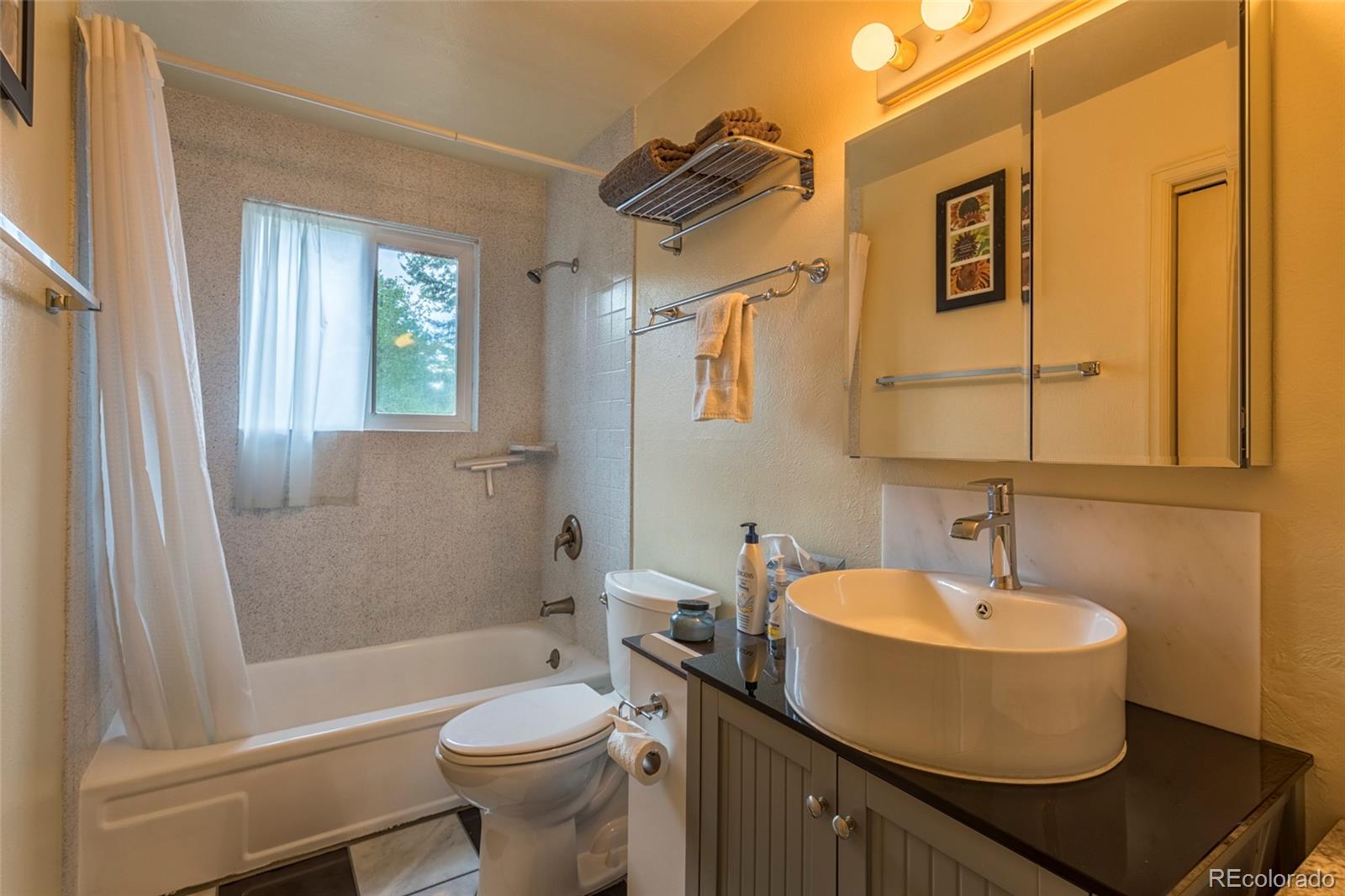 135 Louis Road Bailey, CO 80421 - Photo 16 of 29 Gallery Image 16