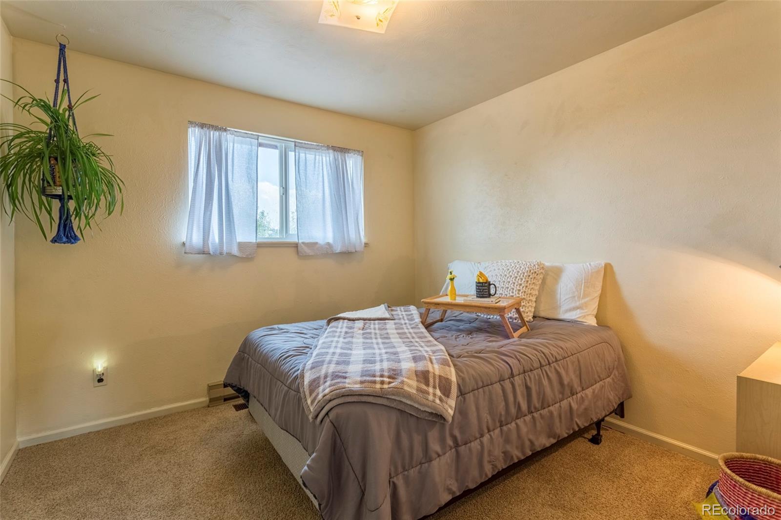 135 Louis Road Bailey, CO 80421 - Photo 19 of 29 Gallery Image 19