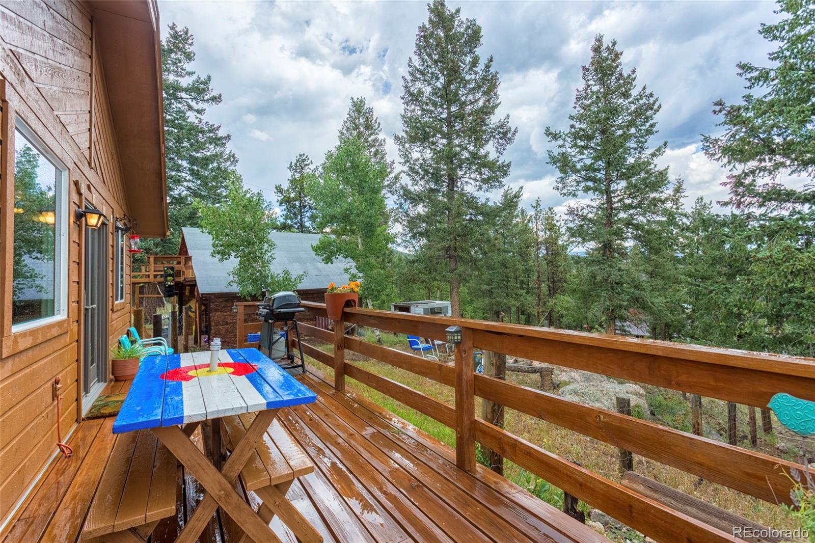 135 Louis Road Bailey, CO 80421 - Photo 22 of 29 Gallery Image 22