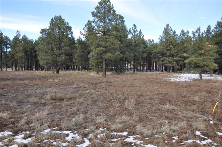 714 South Flagstaff Ranch Road Flagstaff, AZ 86001 - Photo 4 of 5 Additional Photo