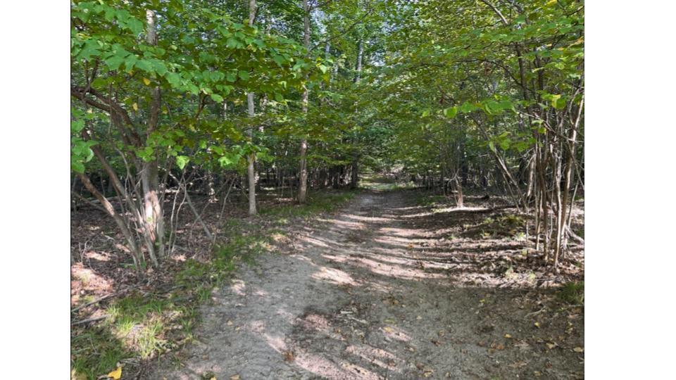4390 22 Mile Road Northwest Grant, MI 49327 - Photo 84 of 85 Trail