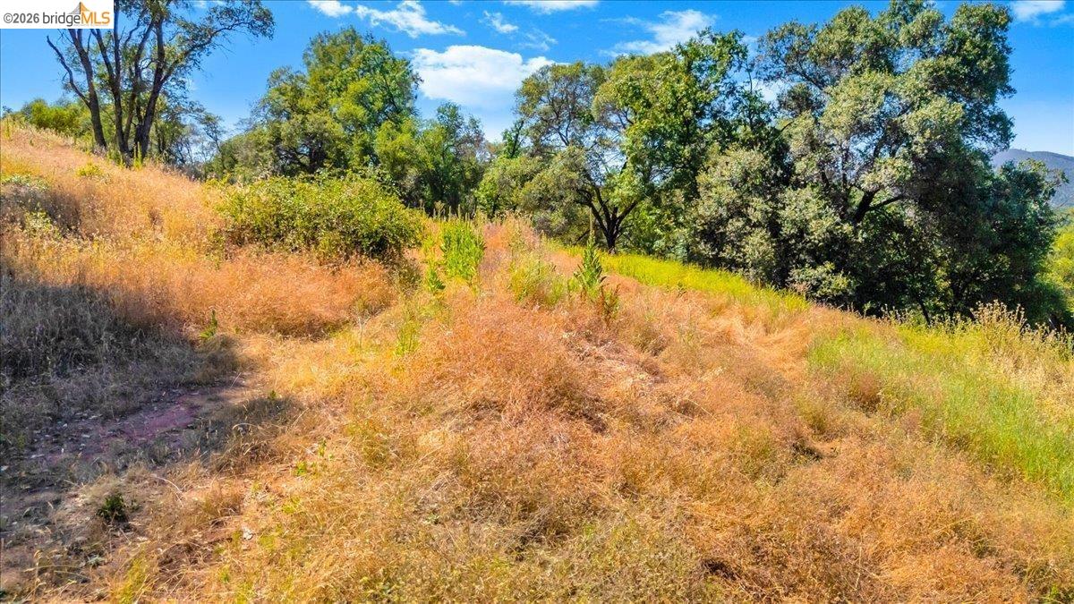 14275 Tuolumne Road Sonora, CA 95370 - Photo 9 of 22