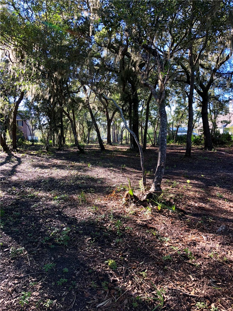 86253 Meadowfield Bluffs Road Yulee, FL 32097 - Photo 5 of 17 Gallery Image 5