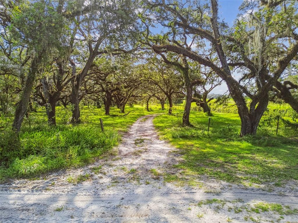 16350 Highway 41 Spring Hill, FL 34610 - Photo 2 of 26