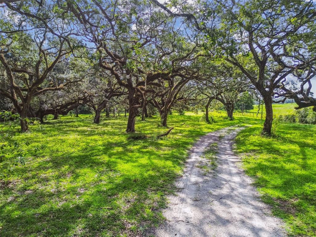 16350 Highway 41 Spring Hill, FL 34610 - Photo 4 of 26