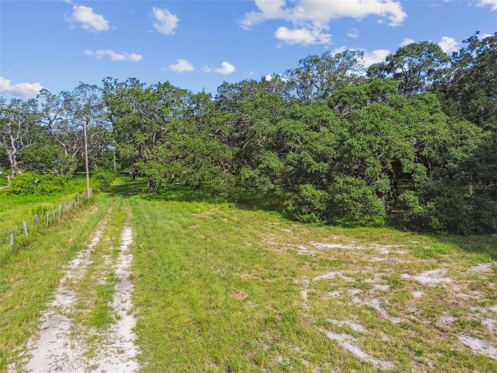 16350 Highway 41 Spring Hill, FL 34610 - Photo 7 of 26