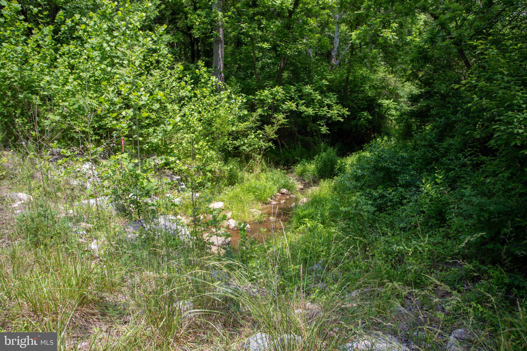 Tbd Brandon Road, Unit 4 Chatham, VA 24531 - Photo 15 of 31 Gallery Image 15