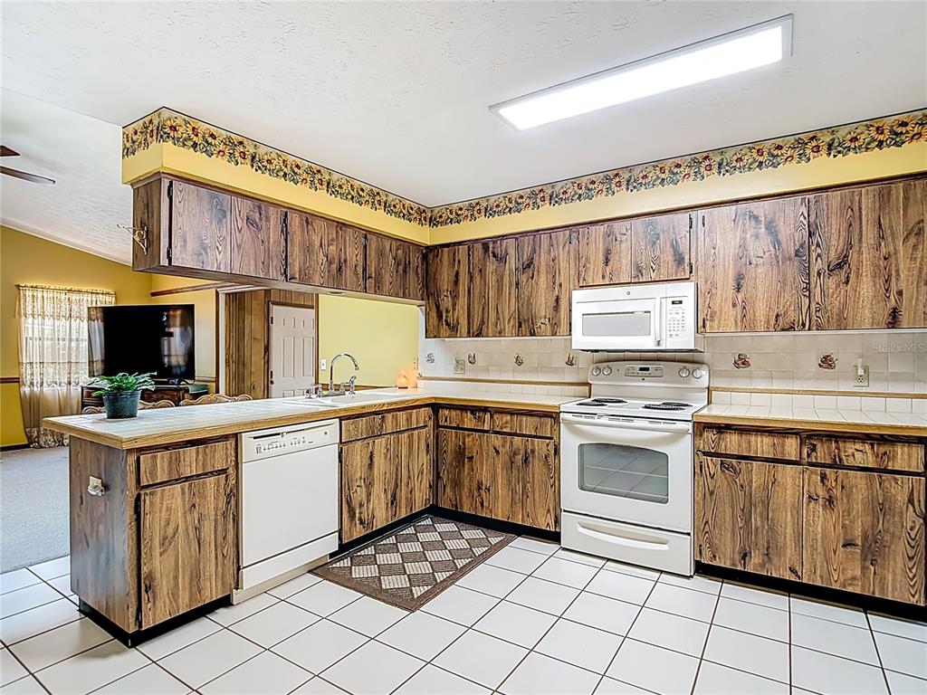 1004 Mook Street Brandon, FL 33510 - Photo 3 of 47