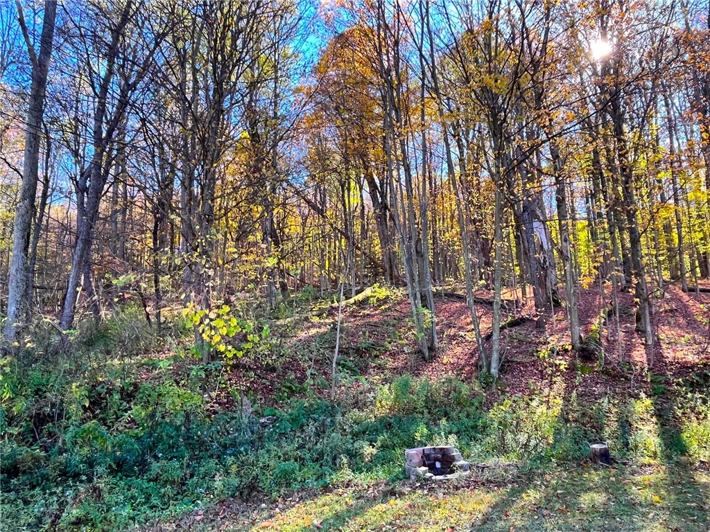 4880 Deusenberry Road Cohocton, NY 14826 - Photo 9 of 25