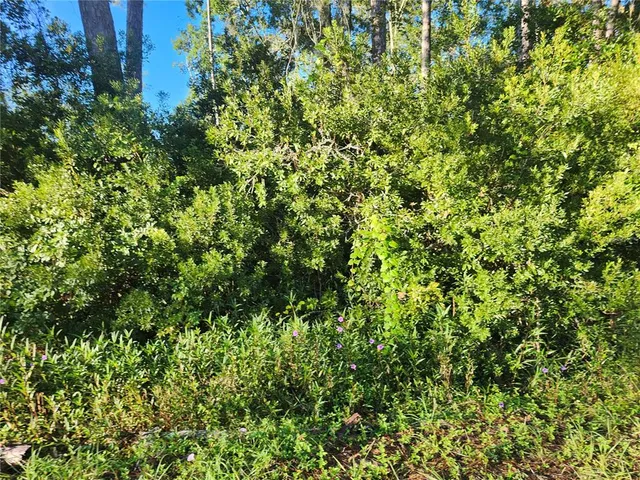 $34,000 | Tbd Redwood Track Course, Ocala, FL 34472