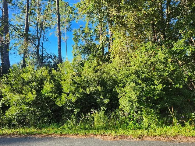 $34,000 | Tbd Redwood Track Course, Ocala, FL 34472