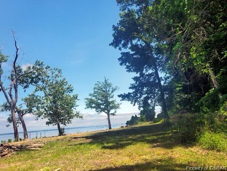 Lot 19 Sunken Meadow Road Spring Grove, VA 23881 - Photo 21 of 50 Gallery Image 21