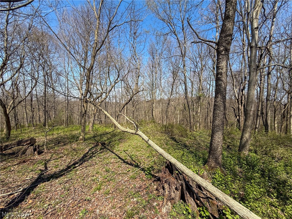 Claysville Road Cumberland, OH 43732 - Photo 29 of 47