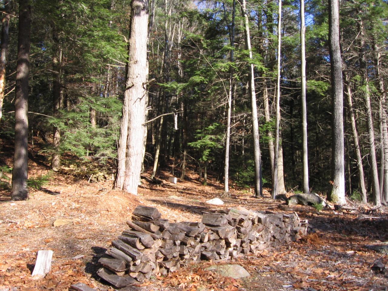 0 Hammertown Road Sandisfield, MA 01255 - Photo 3 of 5 a view of a house with a yard