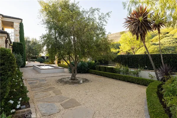 a view of a backyard with a tree
