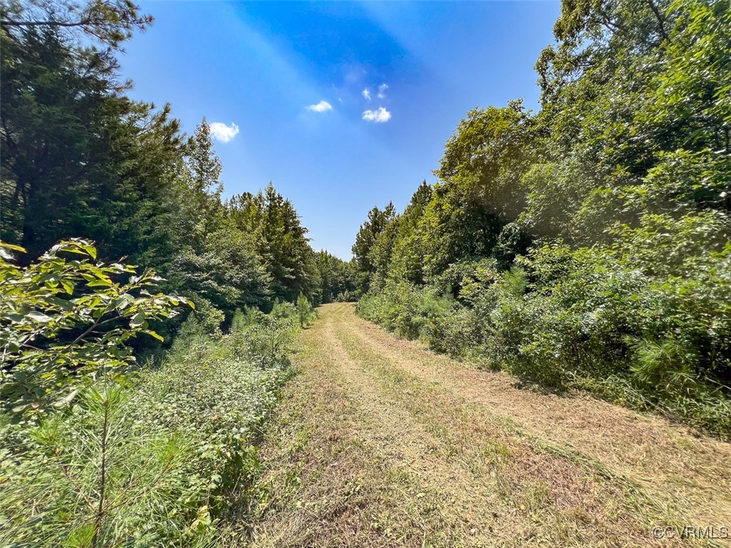 105.2-acres Cedar Bluff Road Boydton, VA 23917 - Photo 13 of 50 Gallery Image 13