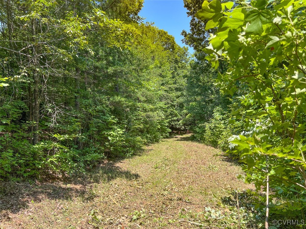 105.2-acres Cedar Bluff Road Boydton, VA 23917 - Photo 15 of 50 Gallery Image 15