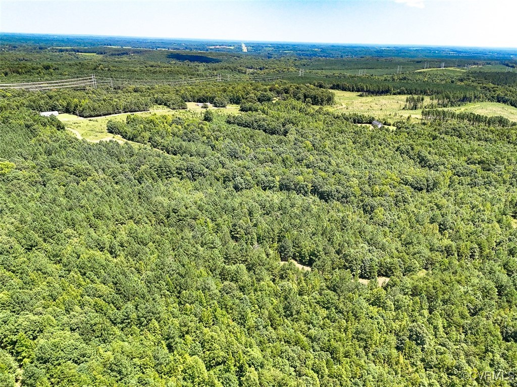 105.2-acres Cedar Bluff Road Boydton, VA 23917 - Photo 17 of 50 Gallery Image 17