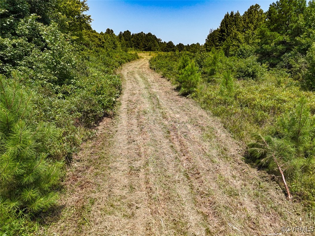 105.2-acres Cedar Bluff Road Boydton, VA 23917 - Photo 20 of 50 Gallery Image 20
