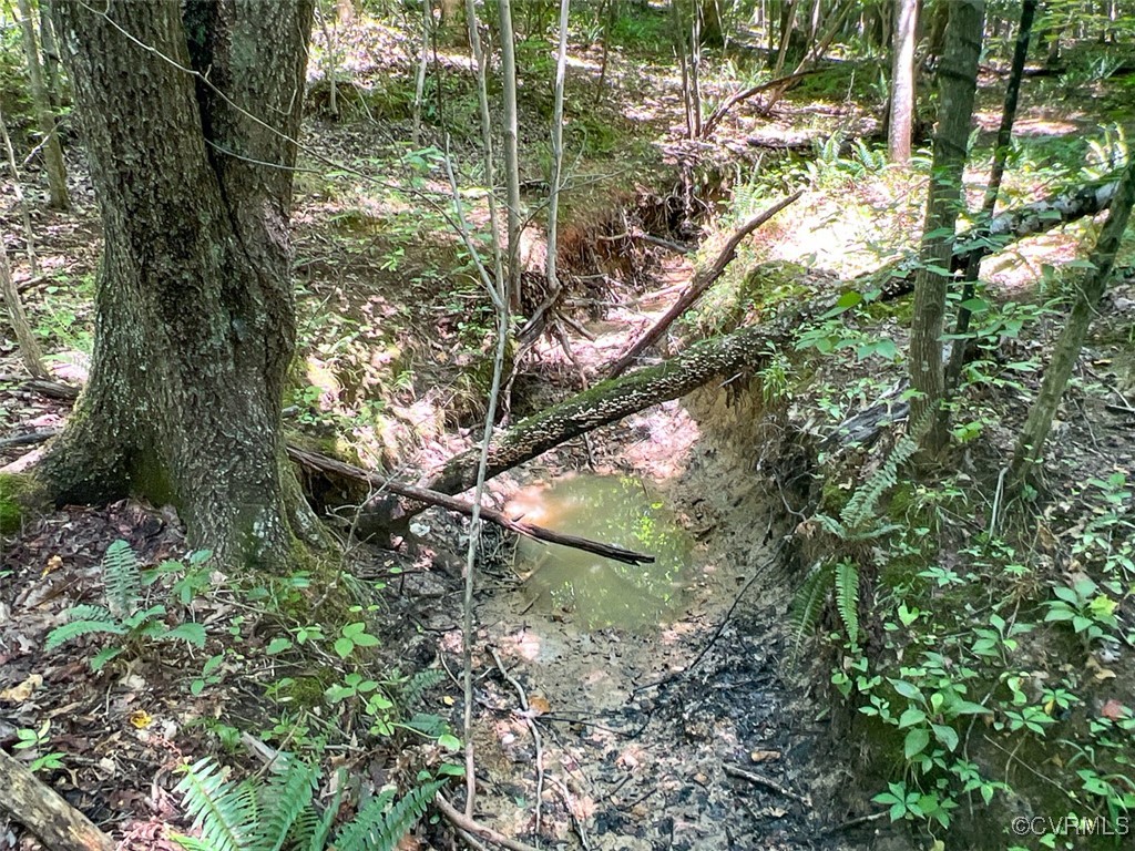 105.2-acres Cedar Bluff Road Boydton, VA 23917 - Photo 23 of 50 Gallery Image 23