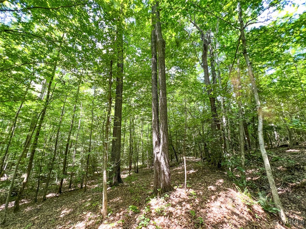 105.2-acres Cedar Bluff Road Boydton, VA 23917 - Photo 27 of 50 Gallery Image 27