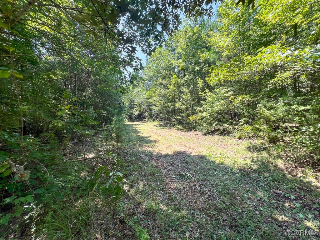 105.2-acres Cedar Bluff Road Boydton, VA 23917 - Photo 30 of 50 Gallery Image 30