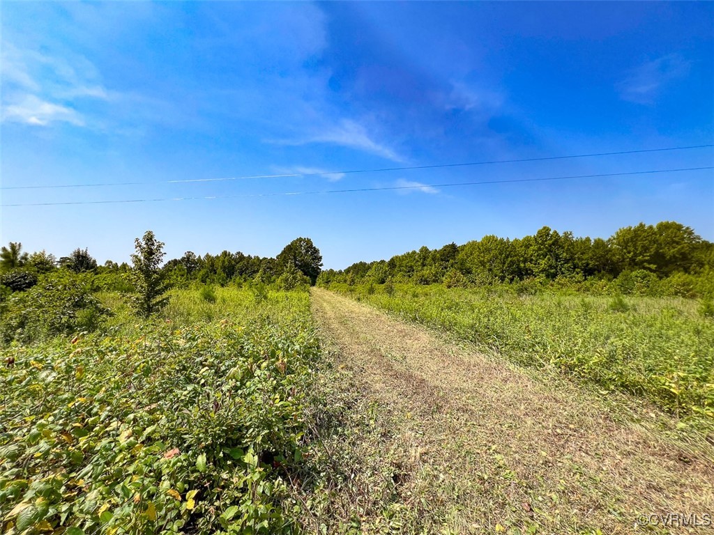 105.2-acres Cedar Bluff Road Boydton, VA 23917 - Photo 3 of 50 Gallery Image 3